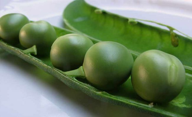 chauchas-arvejas-crudas