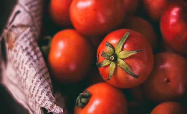tomates-redondos-maduros-frescos