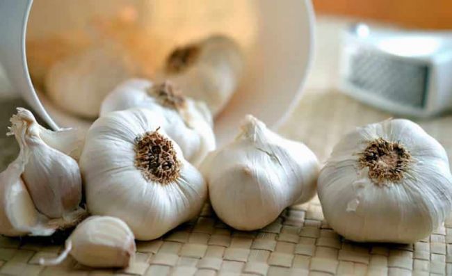 cabezas-ajo-fresco