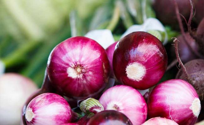 cebollas-coloradas-enteras-crudas