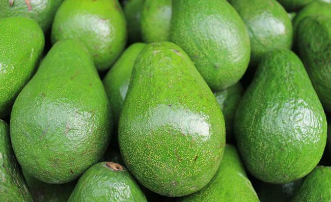 aguacates-maduros-grandes