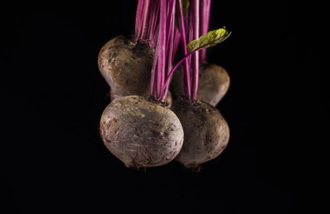 bulbos-remolacha