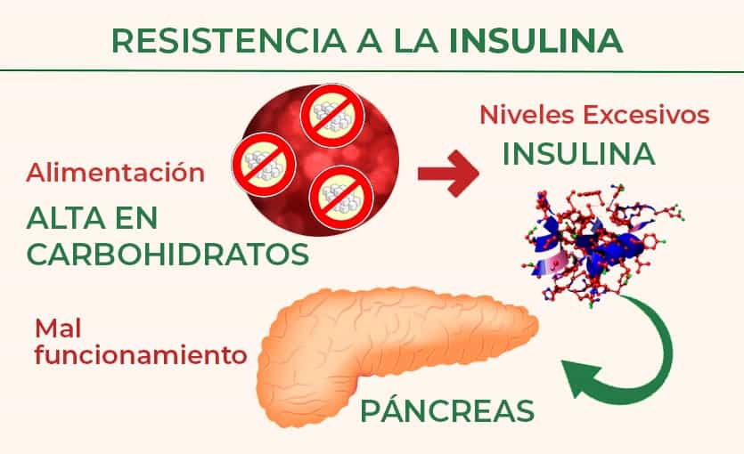 Dieta resistencia a la insulina menu
