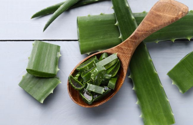 aloe-vera