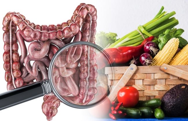 intestino-esparragos-tomate-choclo