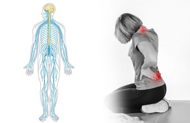 sistema-nerviso-mujer-dolor