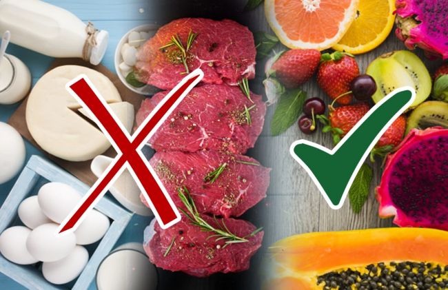 lacteos-carnes-frutas-tic-verde