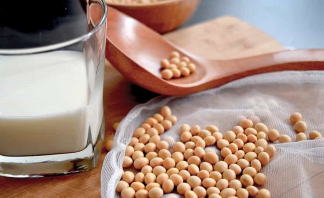 porotos-secos-soja-leche-soja