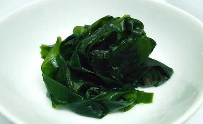 algas-marinas-verde-azules