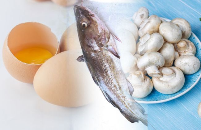 huevo-pescado-hongos