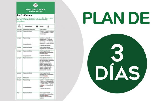 plan-3-dias