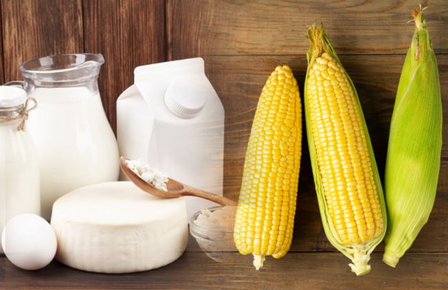 leche-queso-choclo-maiz