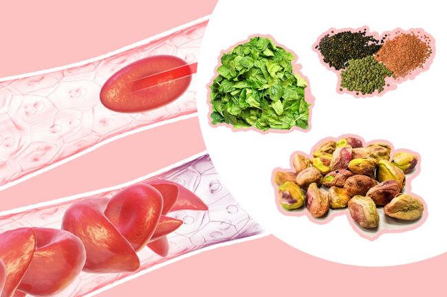 vegetales-verdes-frutos-secos-especies