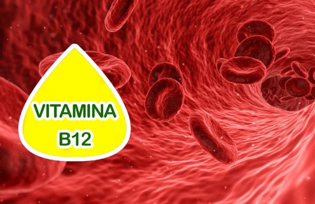 vitamina-b12-globulos-rojos