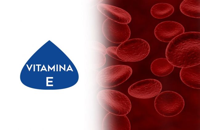 vitamina-e-globulos-rojos