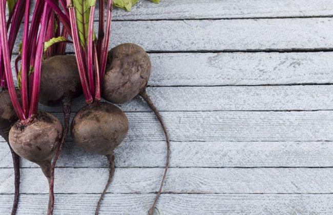 bulbos-remolacha