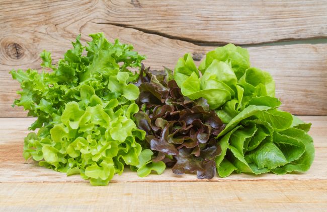 lechuga-verde-roja
