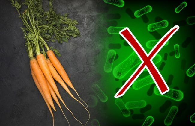 zanahoria-microbios-tachados