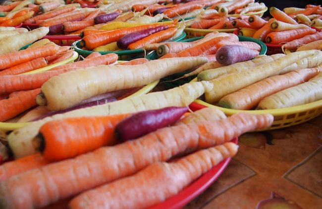 zanahoria-colores