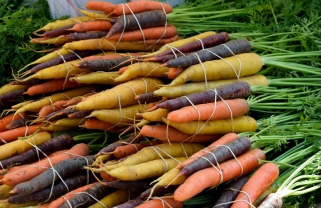zanahorias-colores