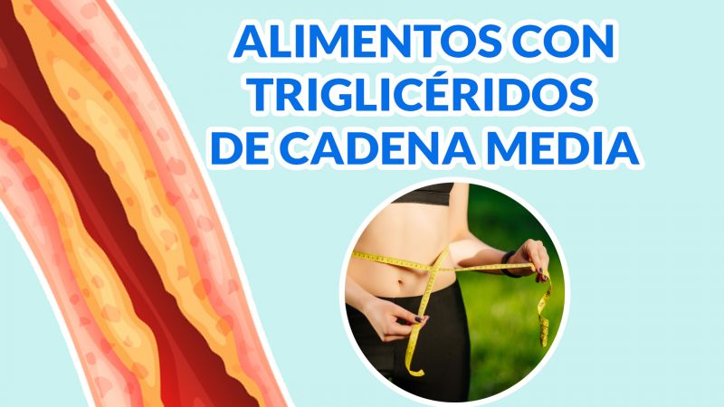 Triglicéridos de Cadena Media: ¿Para qué sirven y qué alimentos lo contienen?