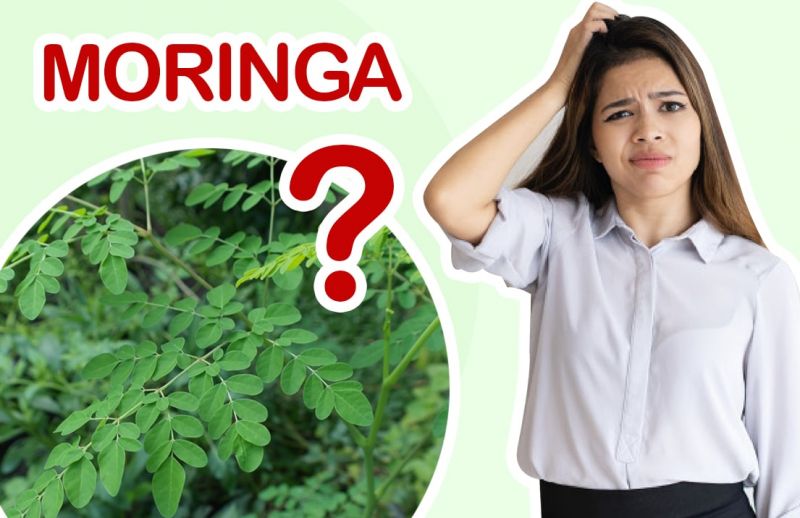 ¿Para qué Sirve la Moringa y Cómo Se Toma?