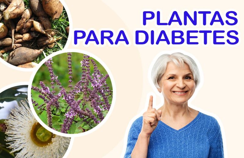 3 Plantas Medicinales para la Diabetes