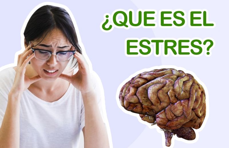 Estrés y ¿Cómo cuidar la salud?