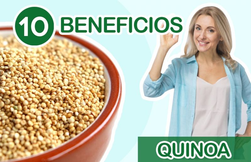 10 Beneficios de la Quinoa ¿Qué es y Cómo se prepara?
