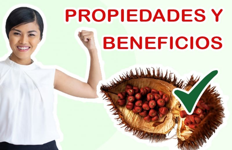 Achiote: Propiedades y Valor Nutricional