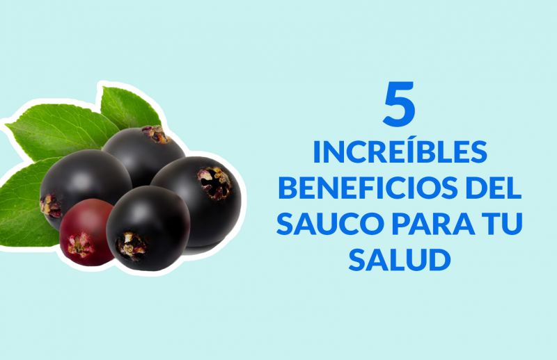 Sauco: 5 increíbles beneficios para tu salud