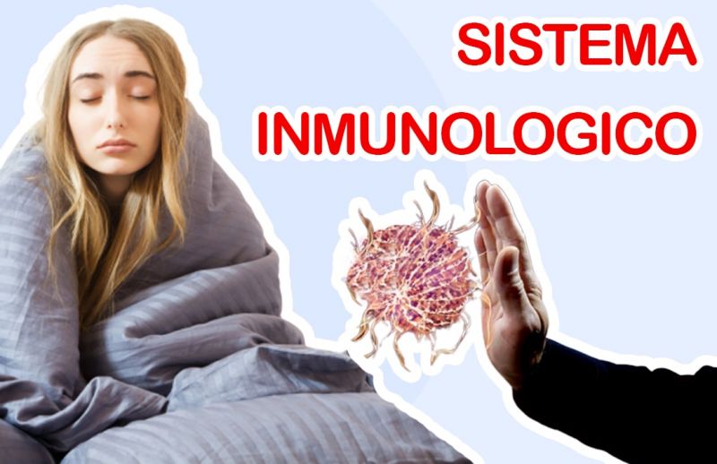 El Sistema Inmunológico