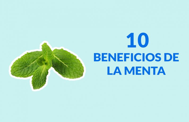 Menta: Descubre sus 10 Beneficios para llevar una Vida Saludable