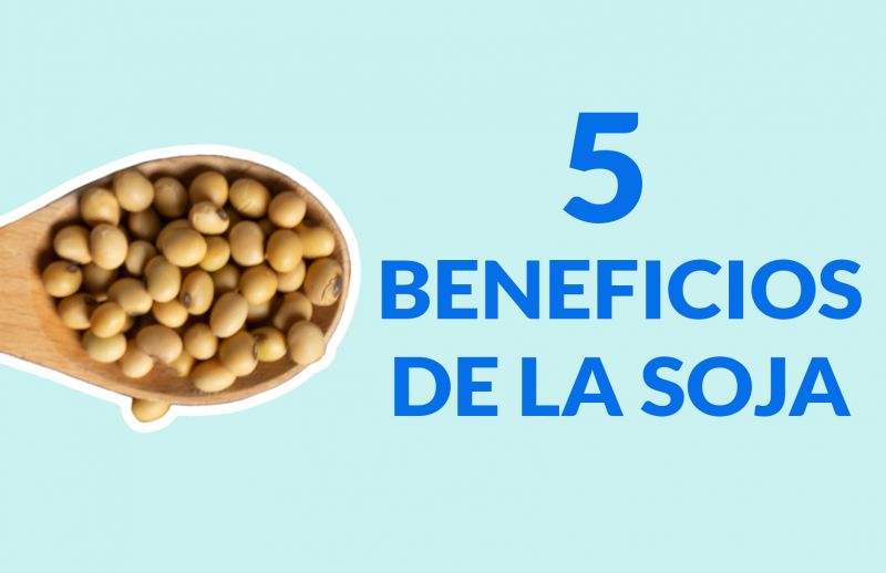Soya: 5 Beneficios para tu salud y belleza