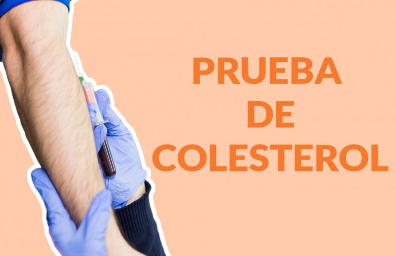 Colesterol: ¿Qué tan seguido debo someterme a una prueba de colesterol?
