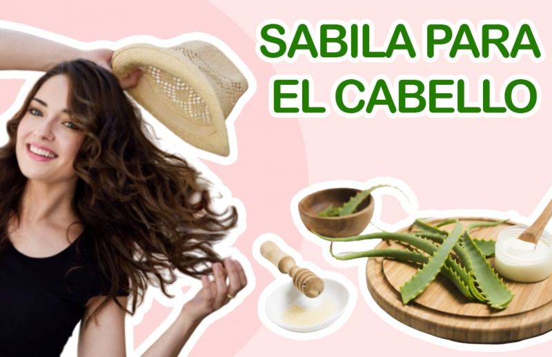 Sábila para el cabello: ¡Tratamiento para hacer Crecer el Cabello!