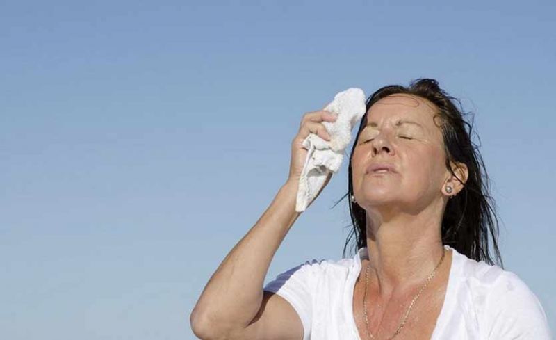 Guia: Eliminar y alivia calores de la MENOPAUSIA de manera natural