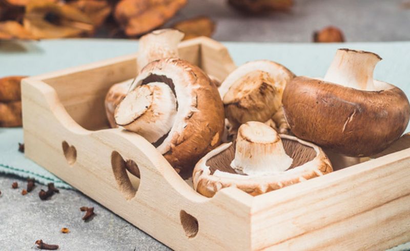 10 Beneficios de los Champiñones para la Salud