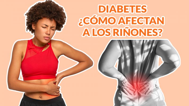 Diabetes: ¿Cómo afectan a los riñones?