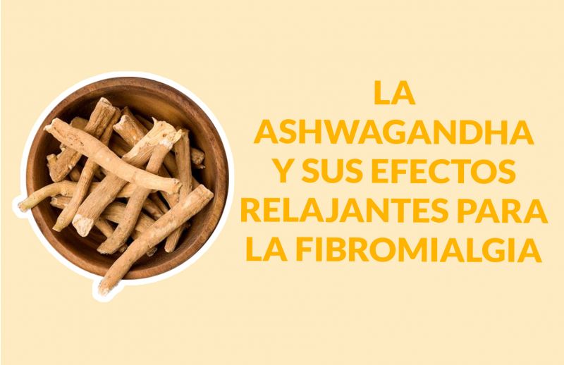 La Ashwagandha y sus efectos relajantes para la fibromialgia