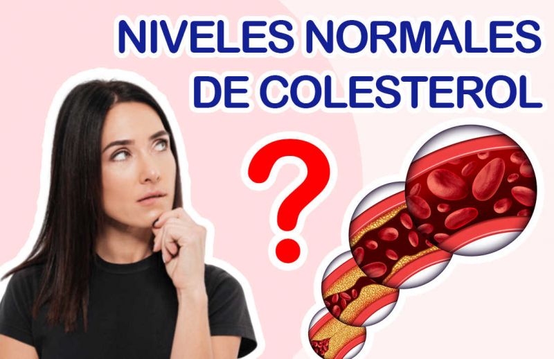 ¿Qué son los Niveles de Colesterol?