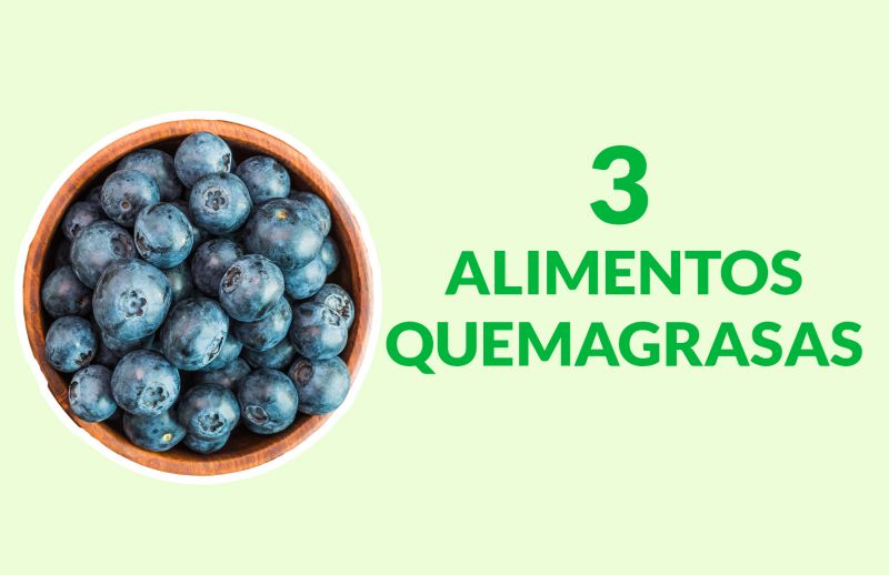 3 Alimentos “Quema grasas” para perder peso rápido