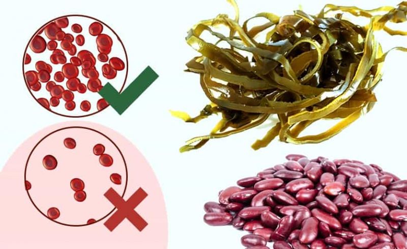 15 Alimentos ricos en Hierro para prevenir y tratar la Anemia