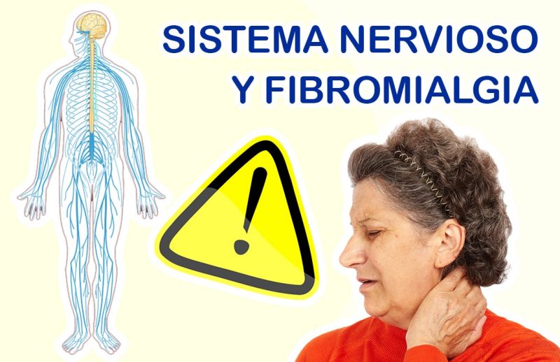 Sistema Nervioso y Fibromialgia