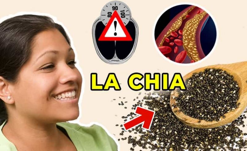 15 Beneficios y propiedades de las semillas de Chia para la Salud de tu cuerpo