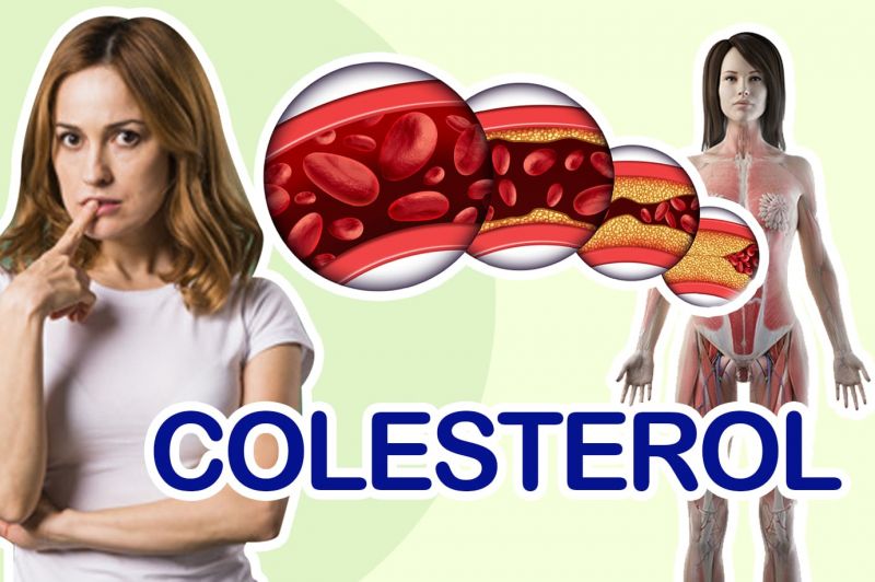 ¿Para qué sirve el Colesterol?