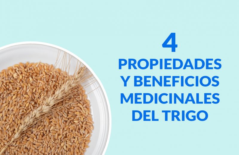 ¿Para qué sirve el trigo?: 4 propiedades y beneficios medicinales