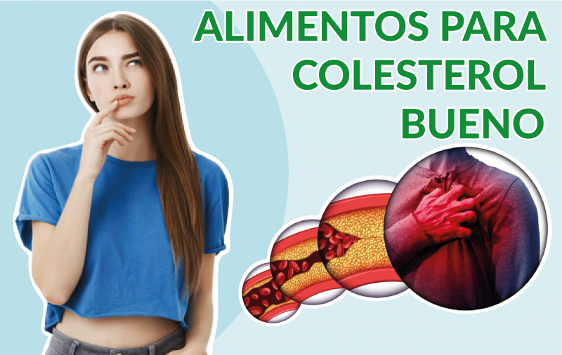 ¿Cómo subir tu colesterol bueno?: 3 Grupos de Alimentos Clave