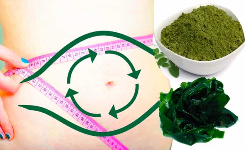 La mejor manera tu cura metabolismo ralentizado