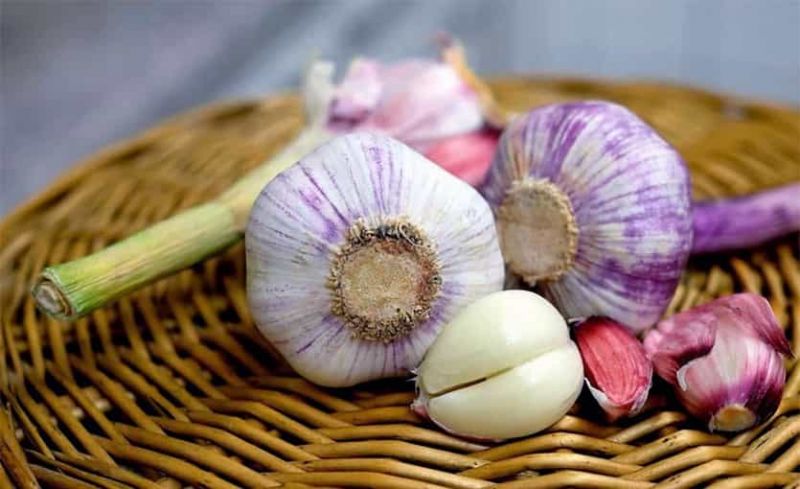 Ajo: 10 Propiedades Medicinales y Valores Nutricionales